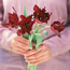 Tulip: Tulipa Black Parrot