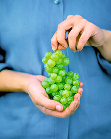 White grape: Vitis labrusca Niagara