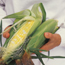 Corn Growing Guide