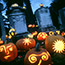 Gallery of Pumpkins