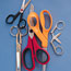 Multipurpose Scissors