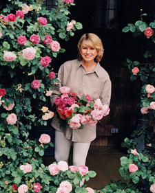 The Ultimate Rose Garden