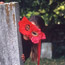 Petal Masks and Cap