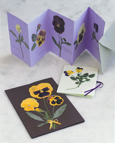 Pressing Flowers and Leaves