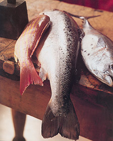 Best Sustainable Fish Choices