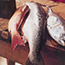 Sustainable Fish