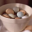Eggs 101