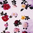 Rose Shrubs
