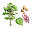 Fast-Growing Trees