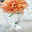 Arranging Flowers