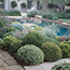 Garden Design 101