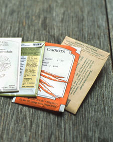 Plant and Seed Catalog