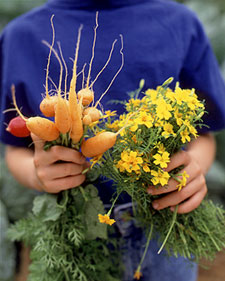 Seed Starting with Kids