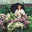 Lilacs