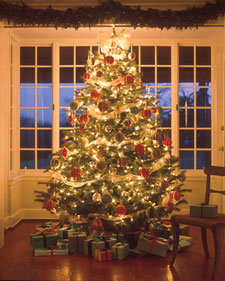 Seasonal Trivia