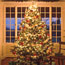 Handmade Ornaments