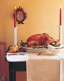 Turkey 101
