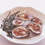 Serving Oysters