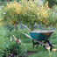 Spring Gardening Tips
