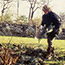 Winter Mulches