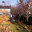Fall Lawn Care