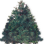 Christmas Trees