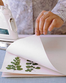 Pressed-Plant Cards
