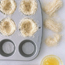 Edible Bird's Nest