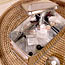 Labeling Buttons