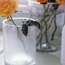 Rose Preserver