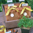 Seedling Packages