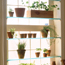Greenhouse Window