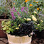 Easy Planter