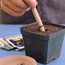 Planting Guides