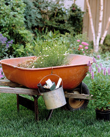 Spring Cleanup