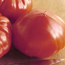 Using the Whole Tomato