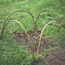 Bent Wood