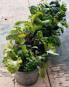 MESCLUN