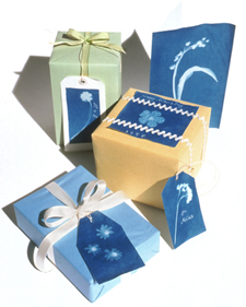Sun Print Cards