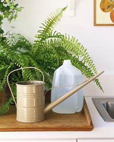 http://images.marthastewart.com/images/content/web/goodthings/gt04marmsl_newwateringcan_l.jpg