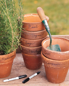 Herb Pots