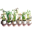 Eggshell Flowerpots