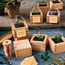Sake-Box Planters