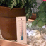 Humidity Detector