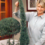 Rosemary Topiary