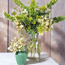 Green Arrangement