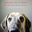 Dog Behavior
