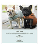 Create online invitations and e-cards.