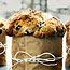 Blueberry Corn Muffins