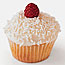 Frosted Cupcakes